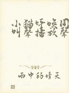 小猫呼唤同伴的叫声播放声音