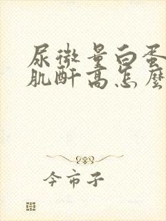 尿微量白蛋白高肌酐高怎么治疗