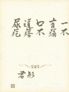 尿道口有一个小疙瘩不痛不痒