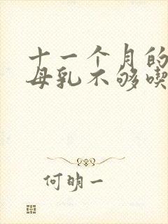 十一个月的宝宝母乳不够吃怎么办