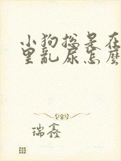 小狗总是在屋子里乱尿怎么办