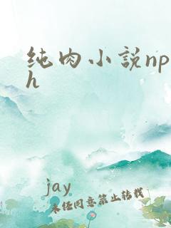 纯肉小说np高h