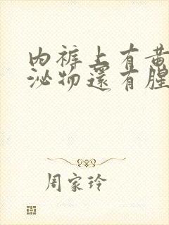 内裤上有黄色分泌物还有腥臭味道重怎么办