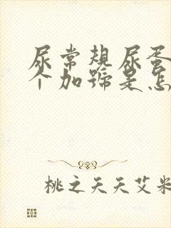 尿常规尿蛋白1个加号是怎么回事