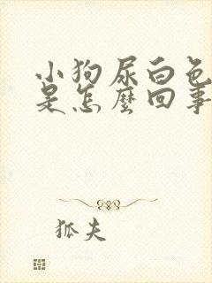 小狗尿白色的尿是怎么回事