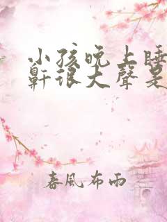 小孩晚上睡觉打鼾很大声是什么原因