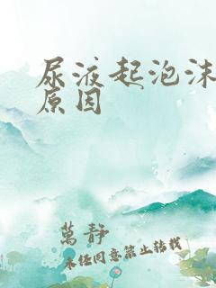 尿液起泡沫是啥原因