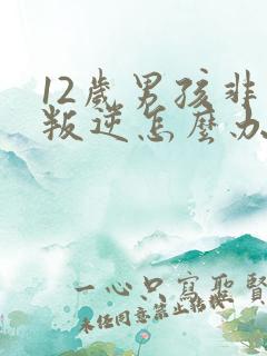 12岁男孩非常叛逆怎么办