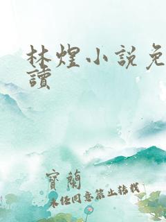 林煜小说免费阅读