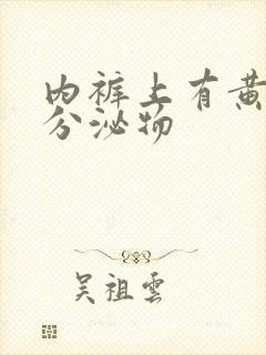 内裤上有黄色的分泌物