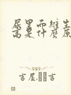 尿里面维生素c高是什么原因