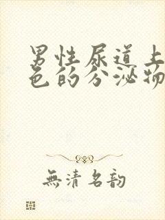 男性尿道上有白色的分泌物