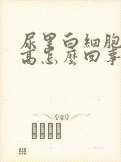 尿里白细胞计数高怎么回事