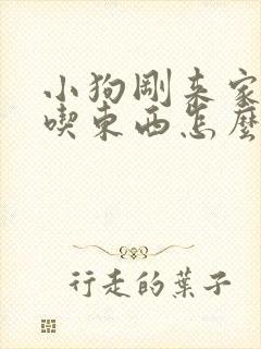 小狗刚来家里不吃东西怎么办