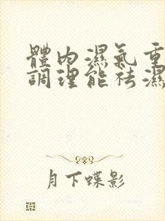 体内湿气重怎么调理能祛湿