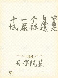 十一个月宝宝穿纸尿裤还是拉拉裤