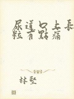 尿道口上长小肉粒有点痛