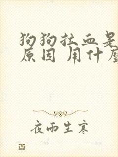 狗狗拉血是什么原因 用什么药