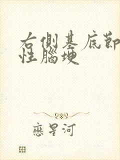 右侧基底节腔隙性脑埂