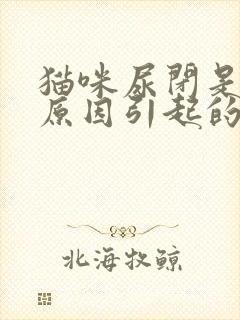 猫咪尿闭是什么原因引起的