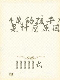 4岁的孩子不说是什么原因