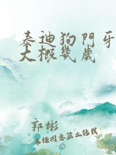 泰迪狗门牙掉了大概几岁