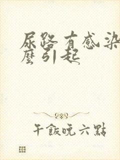 尿路有感染是怎么引起