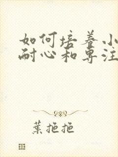 如何培养小孩的耐心和专注力