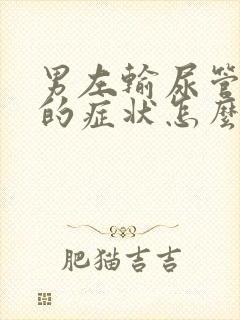 男左输尿管结石的症状怎么治疗