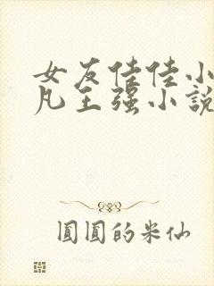 女友佳佳小宇廖凡王强小说
