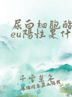 尿白细胞酯酶leu阳性是什么意思