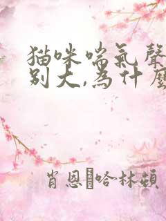 猫咪喘气声音特别大,为什么