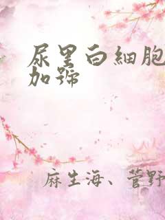 尿里白细胞一个加号