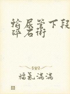 输尿管下段结石碎石术