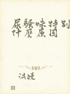 尿骚味特别重是什么原因