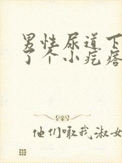 男性尿道下面长了个小疙瘩