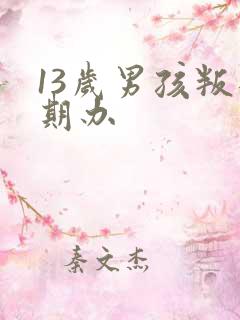 13岁男孩叛逆期办