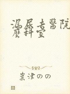 漏尿去医院挂什么科室