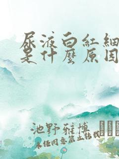 尿液白红细胞高是什么原因