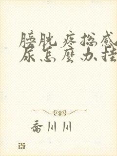 膀胱疼总感觉有尿怎么办挂什么科