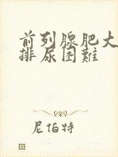 前列腺肥大晚上排尿困难