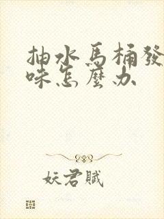 抽水马桶发出臭味怎么办