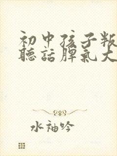 初中孩子叛逆不听话脾气大怎么办