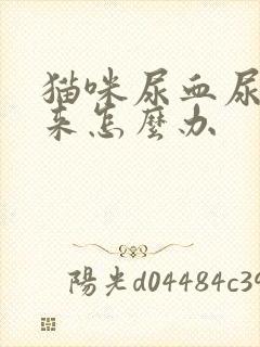 猫咪尿血尿不出来怎么办