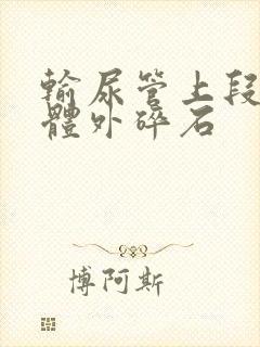 输尿管上段结石体外碎石