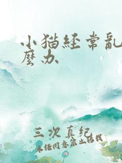 小猫经常乱尿怎么办