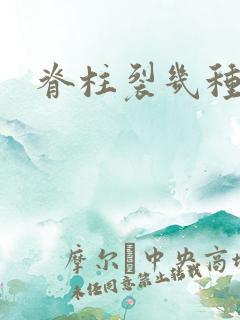 脊柱裂几种图片