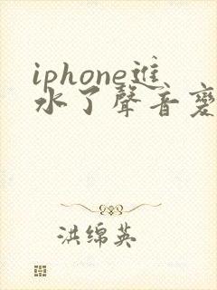 iphone进水了声音变小了