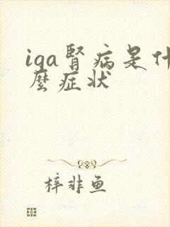 iga肾病是什么症状