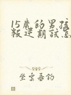 15岁的男孩子叛逆期该怎么沟通